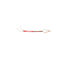 B4-1-K-36 pilt